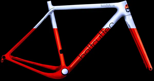 Bicycle Renderings