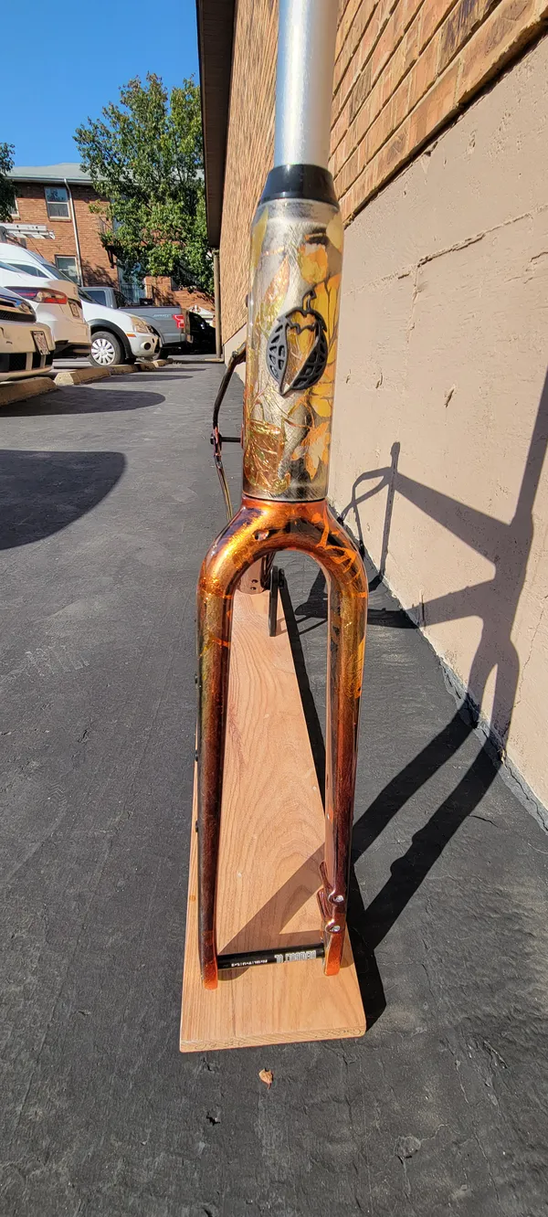 Metal Frames - Salsa BT Epic Frame