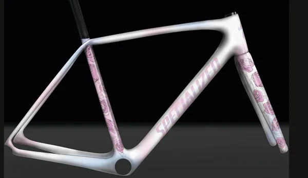Bicycle Renderings