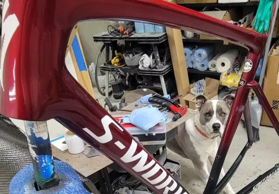 Tarmac SL7 Downtube Repair