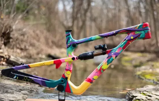 Custom Bicycle Paint